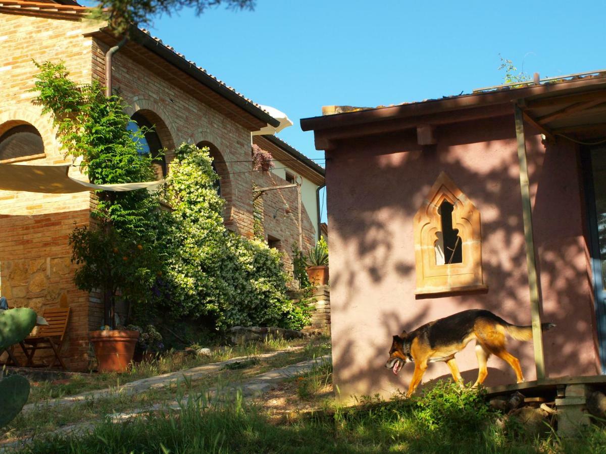 Poggio Magginga Apartment Terricciola Exterior photo
